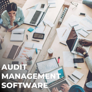 internal audit tracking software